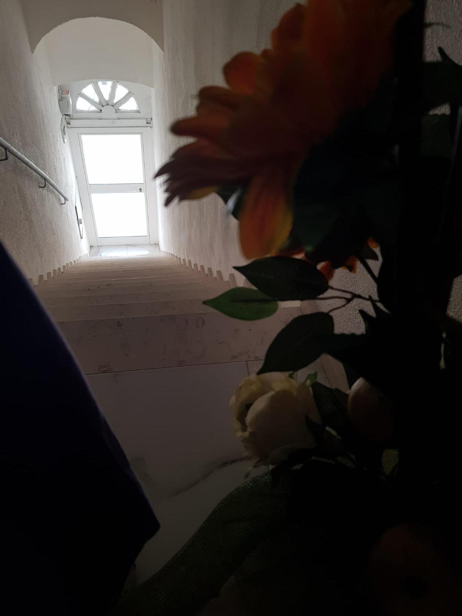 Di Fronzo Guest House T Triggiano Dış mekan fotoğraf
